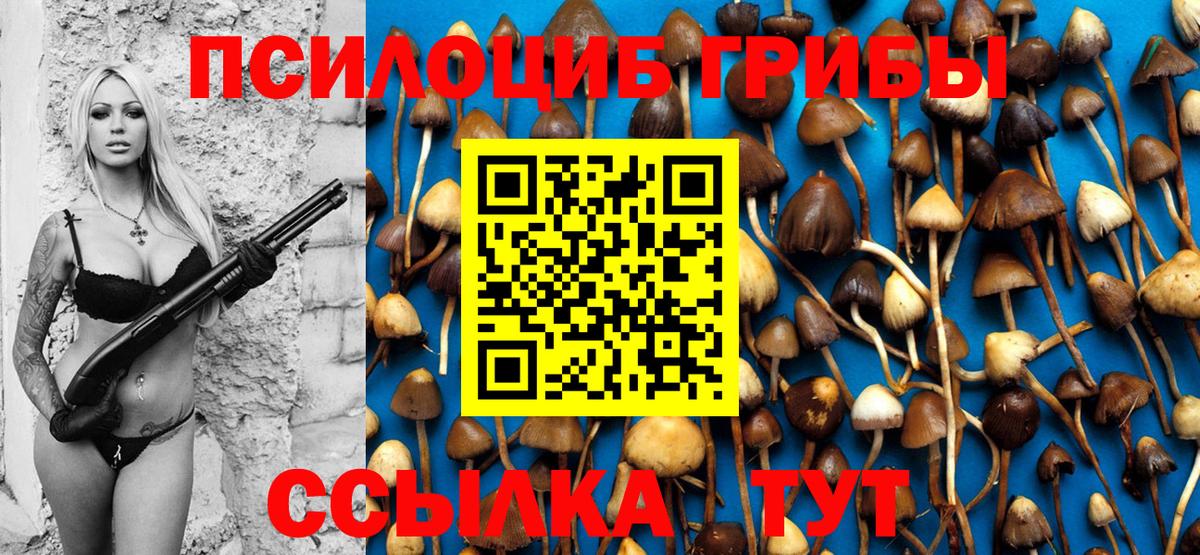 Псилоцибиновые грибы Psilocybine cubensis Хабаровск